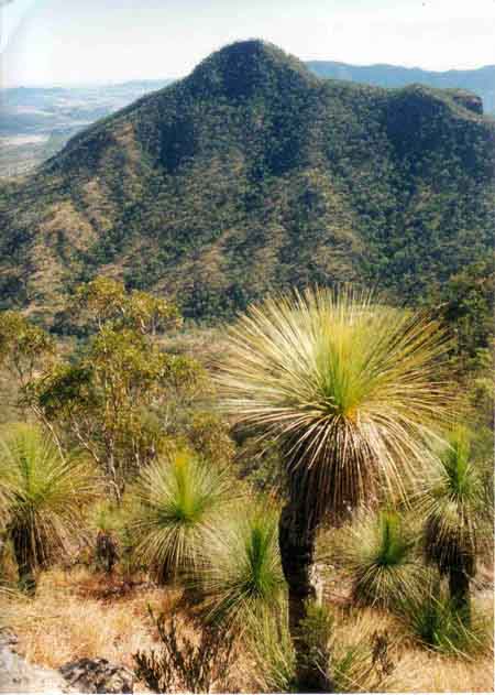 Mt Philp, fot. J. Rygielski